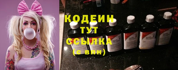 индика Заводоуковск