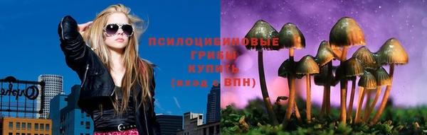 индика Заводоуковск