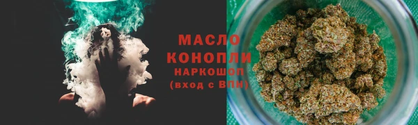 индика Заводоуковск
