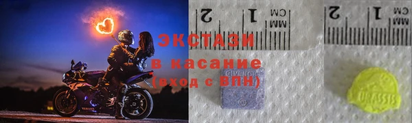 индика Заводоуковск
