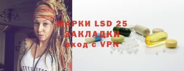 индика Заводоуковск