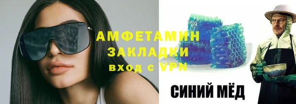 индика Заводоуковск