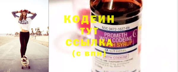 индика Заводоуковск