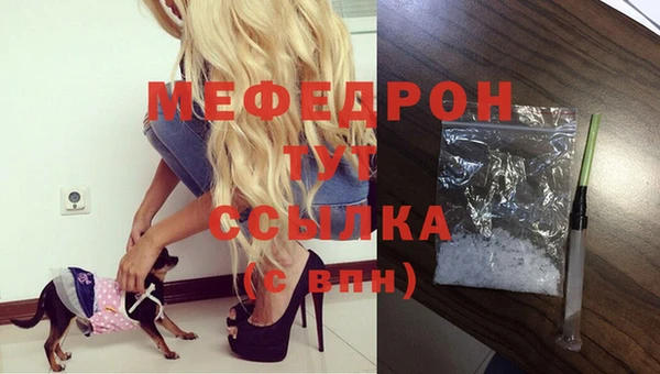 индика Заводоуковск