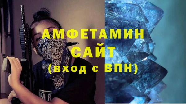 индика Заводоуковск