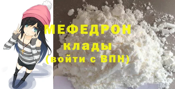 индика Заводоуковск