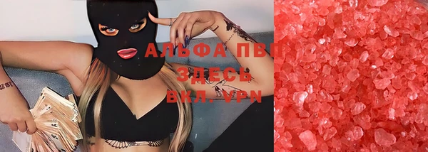 индика Заводоуковск
