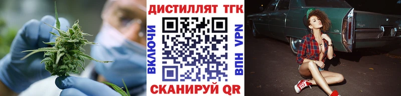 Купить где  Тотьма  ТГК концентрат 