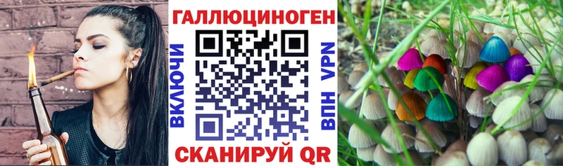 Купить закладки  Тотьма  Галлюциногенные грибы GOLDEN TEACHER 